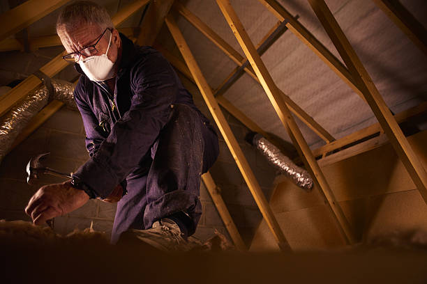 Best Insulation Installation Services in Bartlett, TN